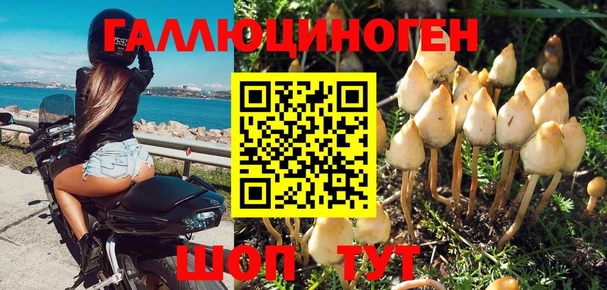 Можга  Галлюциногенные грибы Psilocybe  Вход с VPN  Псилоцибиновые грибы Cubensis 